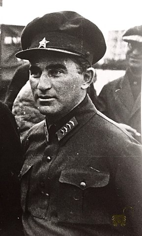 Vladimir Polonsky